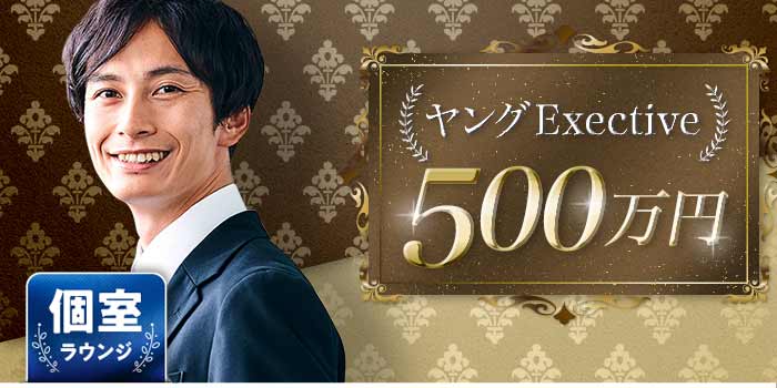 ヤングExective500B