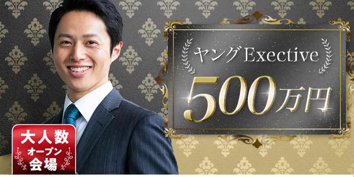 ヤングExective500A