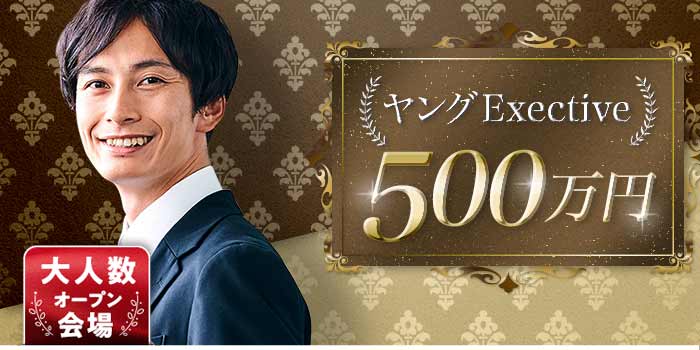 ヤングExective500B