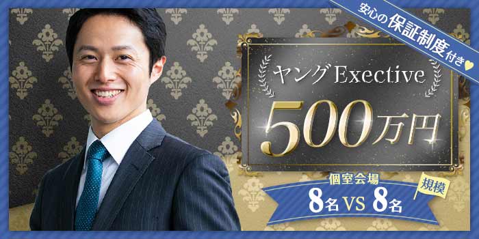 ヤングExective500A
