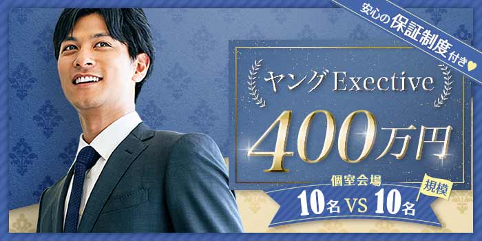 ヤングExective400B