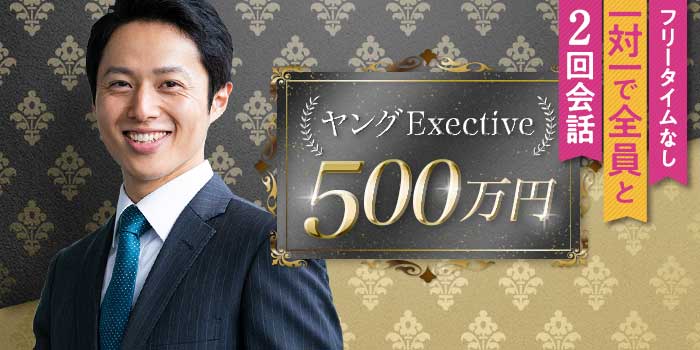 ヤングExective500A