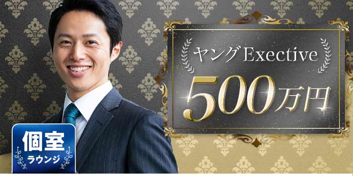 ヤングExective500A