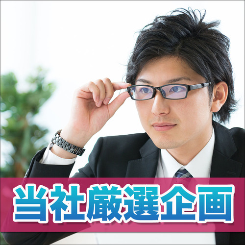 男性年収500万以上/若手エリート編