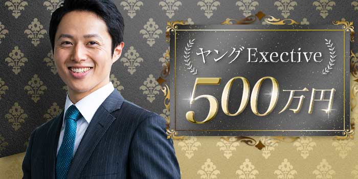 ヤングExective500A