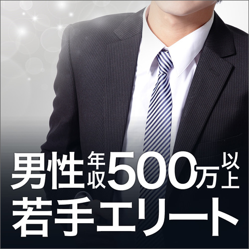 男性年収500万以上/若手エリート編